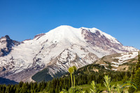 Mt Rainier - 14,410'