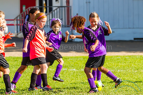Purple Pixies - 5695