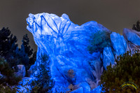 20241016-0O3A8741-Edit-2