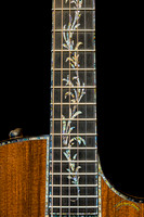 Taylor Guitar
