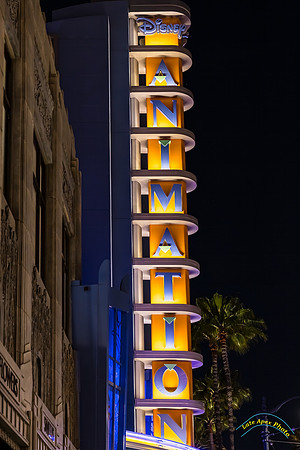 20240501-IMG_0853-Edit