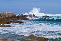 20120219 - IMG_3379