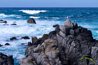 20120219 - IMG_3521