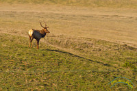 20120222 - IMG_3970