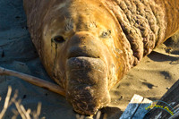 20120222 - IMG_4016
