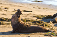 20120222 - IMG_4027