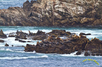 20120917 - IMG_2359