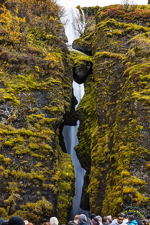 Gljúfrabúi Falls