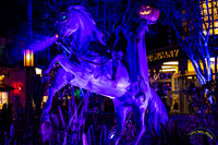 20251022-_O3A3830-Edit