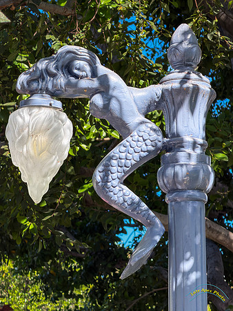 20251022-IMG_3169-Edit