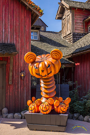 Halloween Decoration