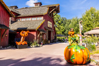 Halloween Decorations