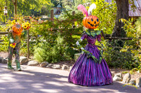 Halloween Decorations
