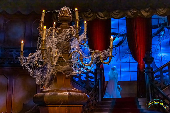 Phantom Manor