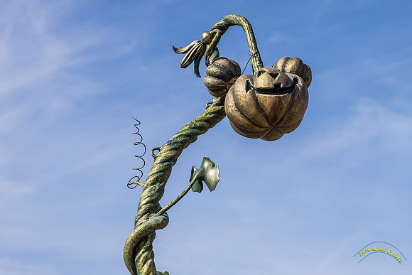 Halloween Pumpkin Stalks