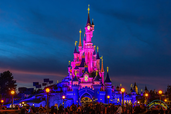 The Castle of the Beauty in the Sleeping Forest