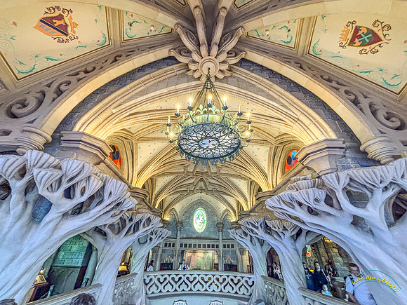 The Gallery of Sleeping Beauty