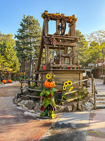 Halloween Decorations