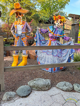 Día de los Muertos Decorations