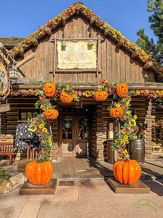 Halloween Decorations