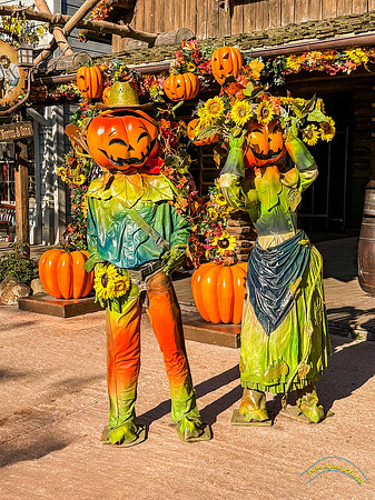 Halloween Decorations