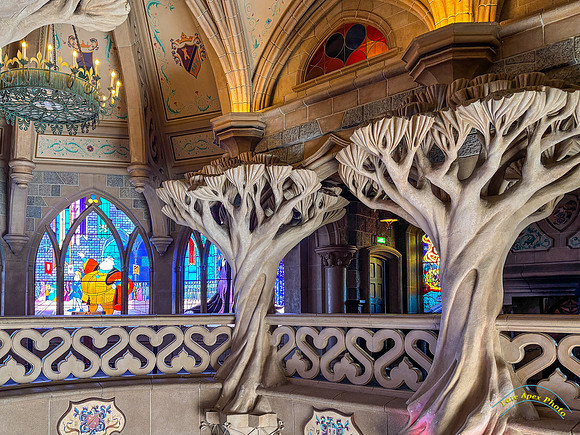 The Gallery of Sleeping Beauty