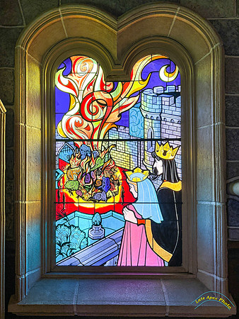 The Gallery of Sleeping Beauty