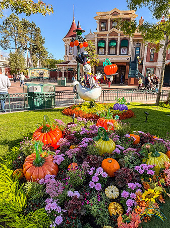 Halloween Decorations