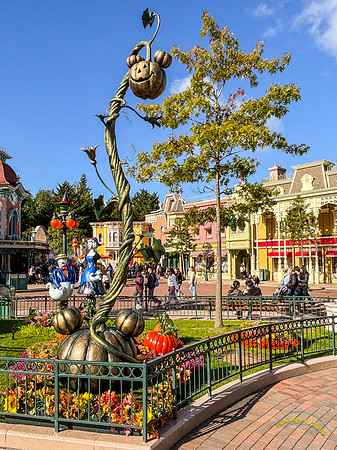 Halloween Decorations