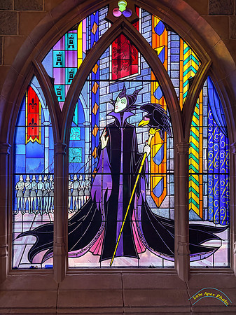 The Gallery of Sleeping Beauty