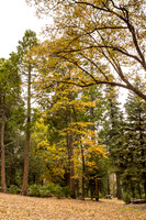 20161030 - 9986