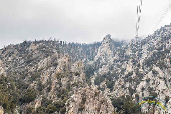 San Jacinto 5-17-15 - _25A3063