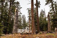 San Jacinto 5-17-15 - _25A3078