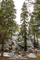 San Jacinto 5-17-15 - _25A3091