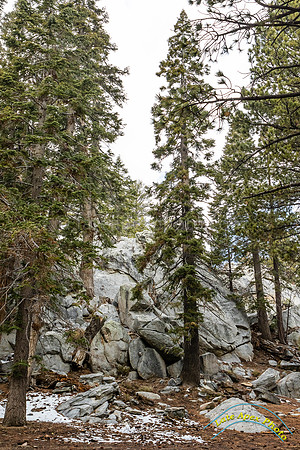 San Jacinto 5-17-15 - _25A3091