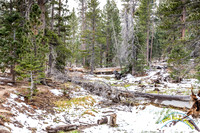 San Jacinto 5-17-15 - _25A3095