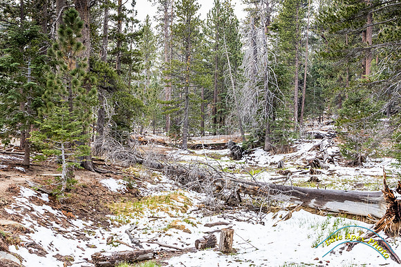 San Jacinto 5-17-15 - _25A3095