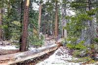 San Jacinto 5-17-15 - _25A3097
