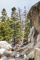 San Jacinto 5-17-15 - _25A3101