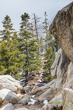 San Jacinto 5-17-15 - _25A3101