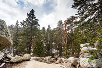 San Jacinto 5-17-15 - _25A3114