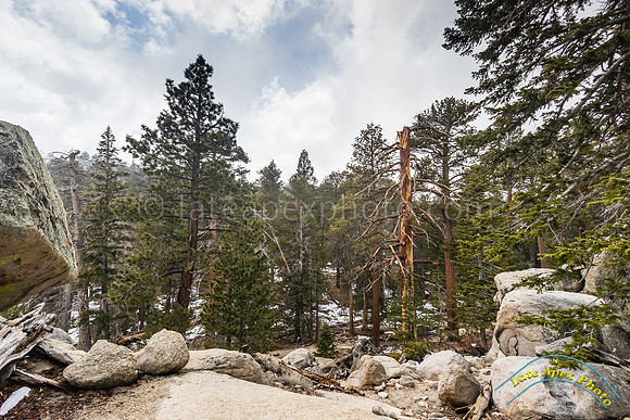 San Jacinto 5-17-15 - _25A3114