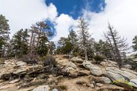 San Jacinto 5-17-15 - _25A3120
