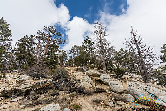 San Jacinto 5-17-15 - _25A3120