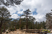 San Jacinto 5-17-15 - _25A3137