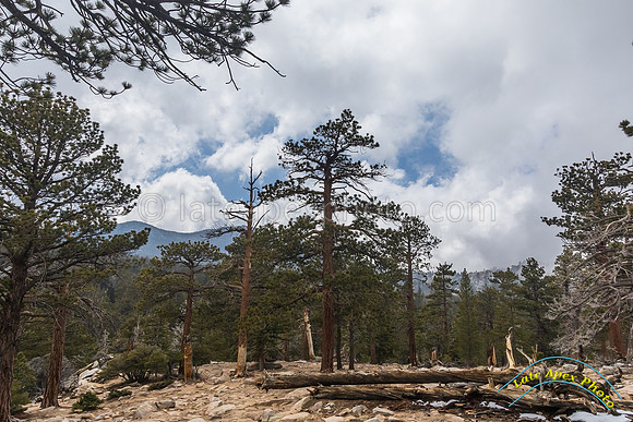 San Jacinto 5-17-15 - _25A3137