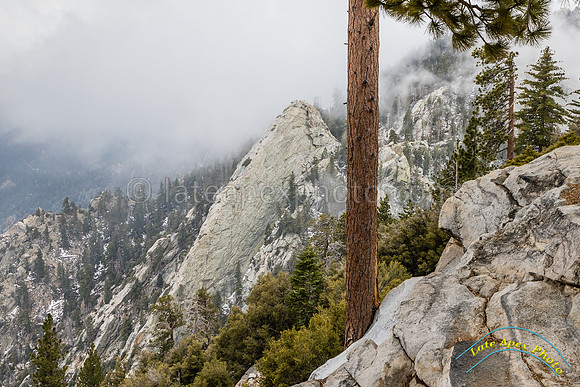 San Jacinto 5-17-15 - _25A3152