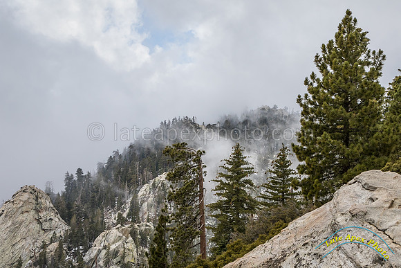 San Jacinto 5-17-15 - _25A3158