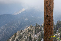 San Jacinto 5-17-15 - _25A3164