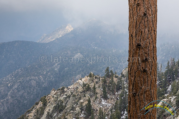 San Jacinto 5-17-15 - _25A3164